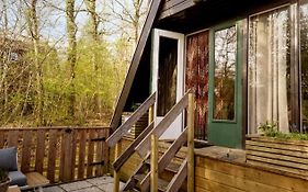 Het Hertenbos Chalet 136 - Bos- Groene Oase- Rustmoment- Zwembad